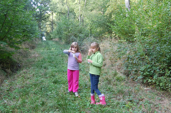 two girls standing in woodland