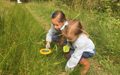 Children need free play outdoors