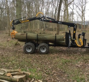 tree trunk on trailer