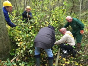 group of adults working in woodland