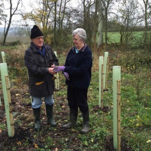 mand and woman holding sapling tree