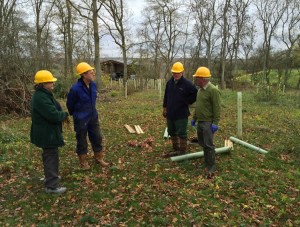 four people wearing safety hats standing in woodland