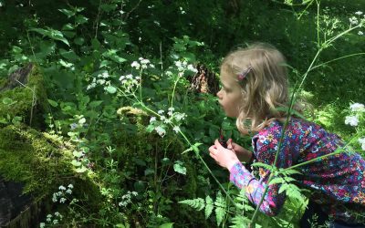 Forest School for home educated children in East Northants