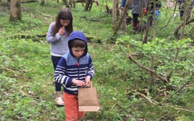 Forest School in East Northants