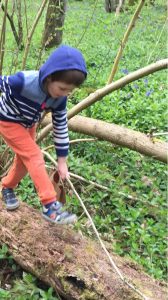 boy walking along tree trunk