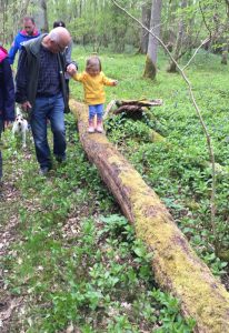 child walking along a tree trunk