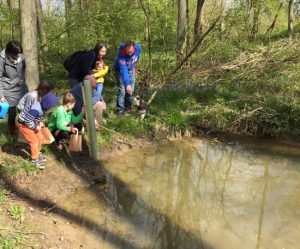 group of people peering into woodland pond