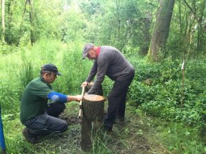 two men constructing a woodland bench
