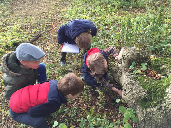 woman and child looking at fungi