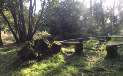 Home education wild wood experiences