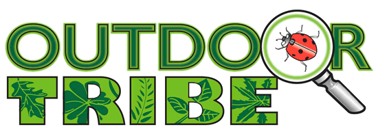 outdoor tribe logo in letters with magnifying glass over ladybird