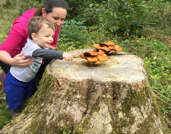 woman and child looking at fungi