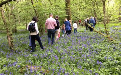 Connecting with nature makes people happier and healthier