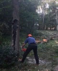 man cutting tree with chainsaw