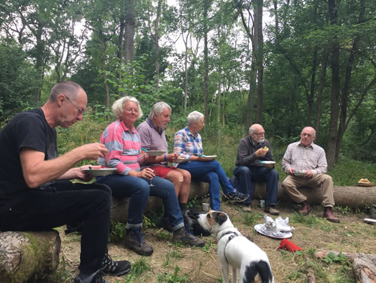 6 people sitting on logs eating meal in woodland