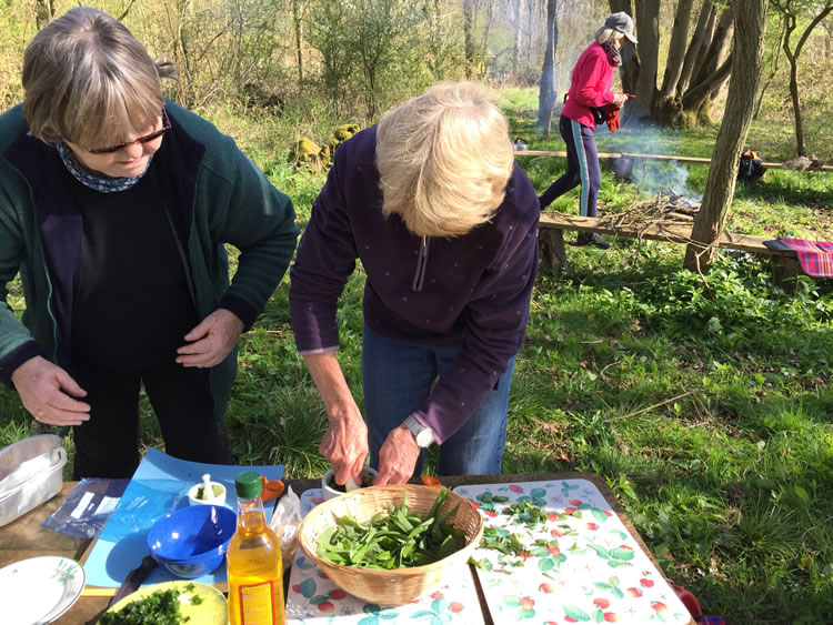 Nene Valley Festival woodland wellbeing session