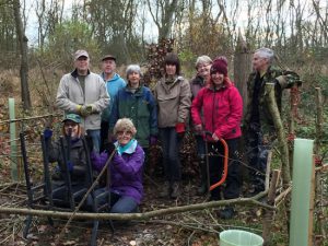 group of adults in a woodland