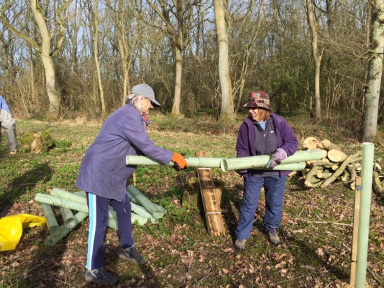 two women with tree tubes