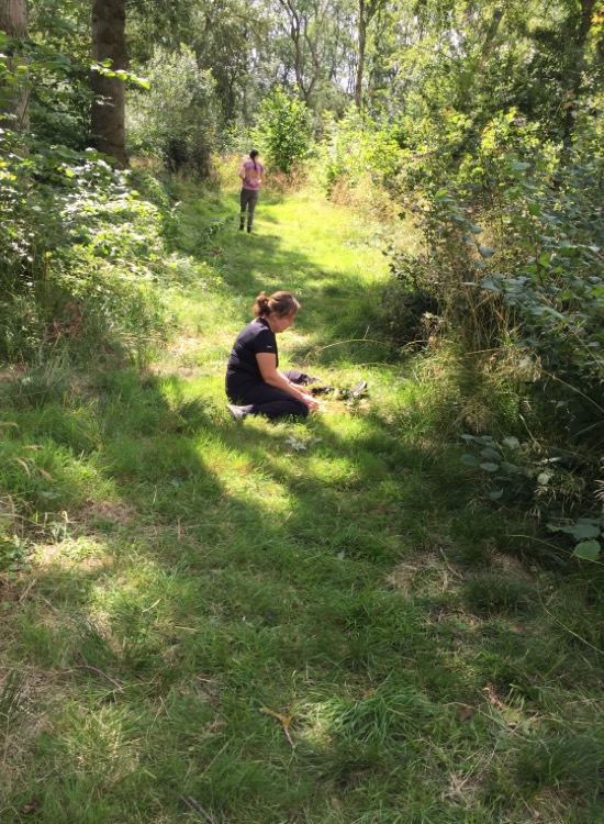 two people whittling wood
