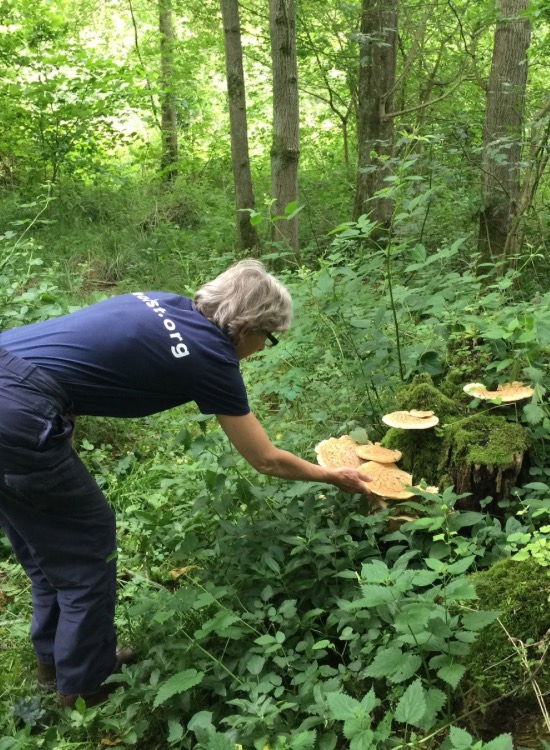 woman touching fungi