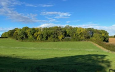 How nature therapy can help a child experiencing anxiety and or school-based issues