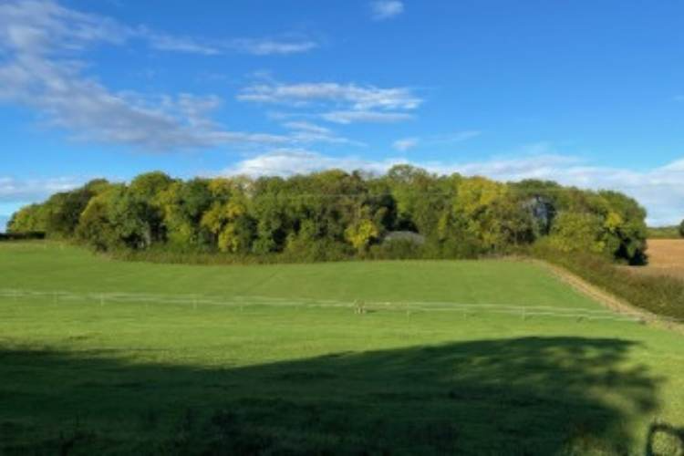 How nature therapy can help a child experiencing anxiety and or school-based issues