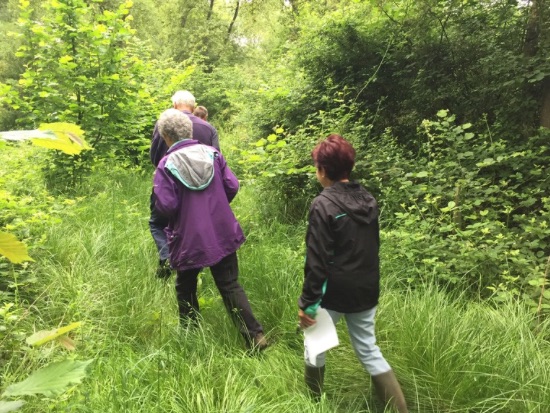 women walking in woodland