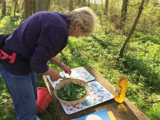 woman cutting up leaves