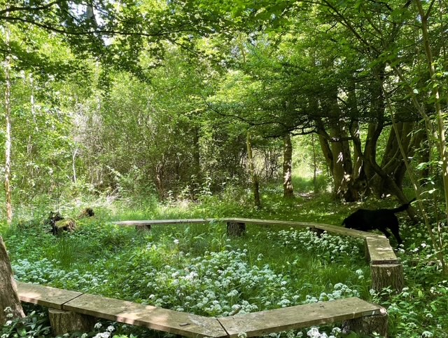 woodland seating circle<br />
